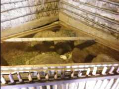 Equator Centre25